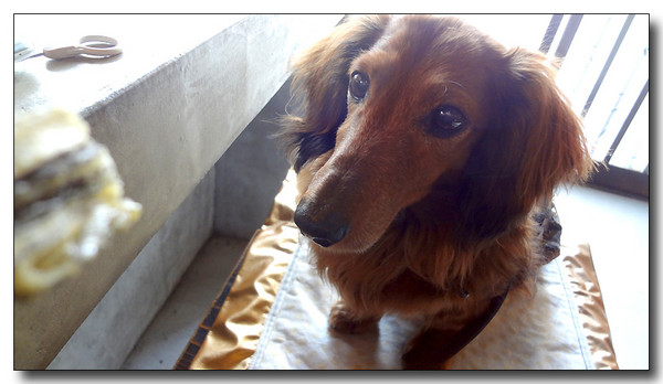 20130515163158.JPG