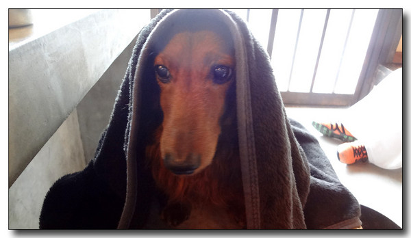 20130515163251.JPG