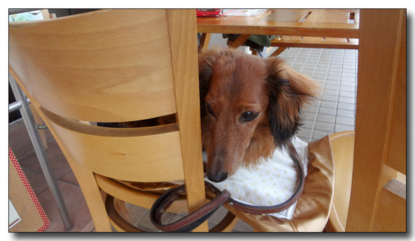20130515182129.JPG
