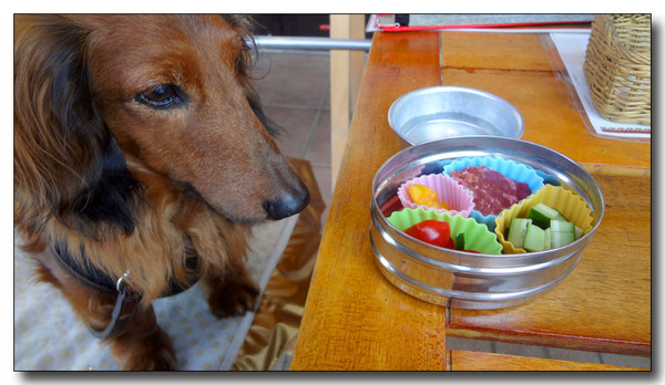 20130515182201.JPG