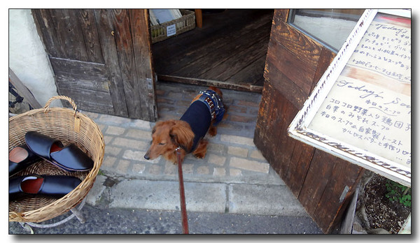 20130515191031.JPG
