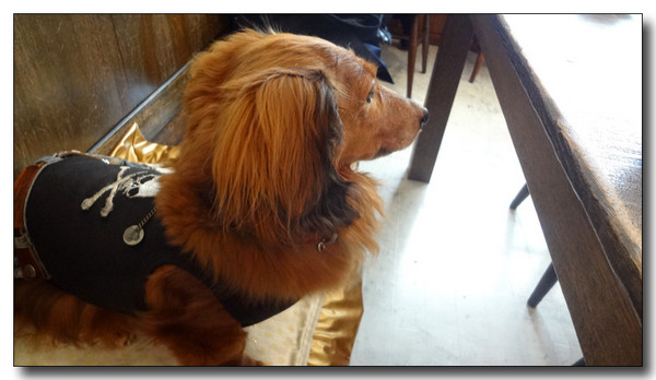 20130515212139.JPG