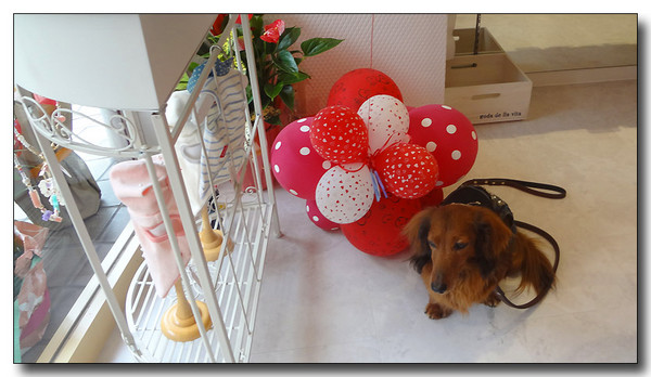20130515212601.JPG