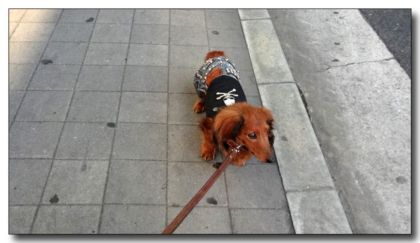20130515214350.JPG
