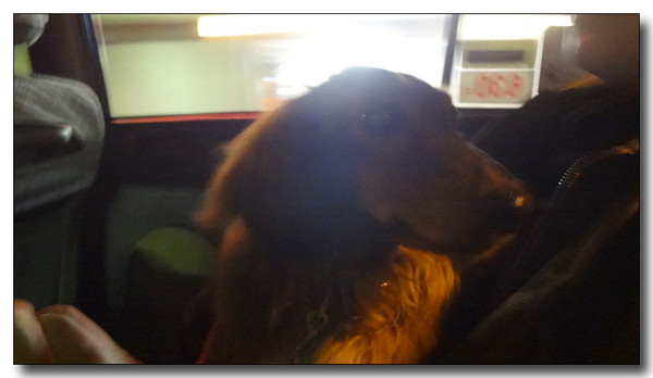 20130515214352.JPG