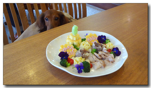 20130517092940.JPG