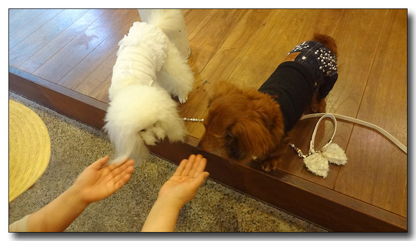 20130517093007.JPG