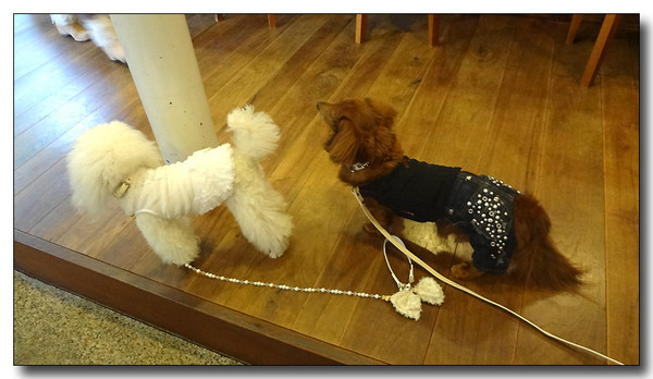 20130517093008.JPG