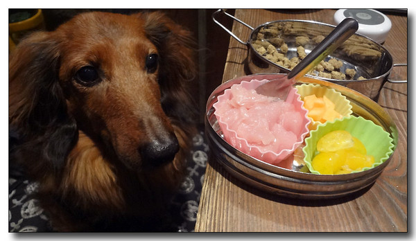 20130408101547.JPG