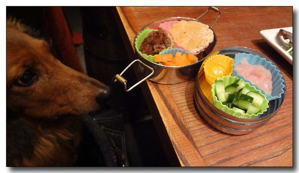 20130409185036.JPG