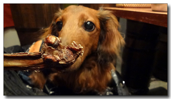 20130409185105.JPG