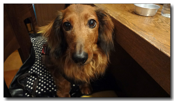 20130411201021.JPG