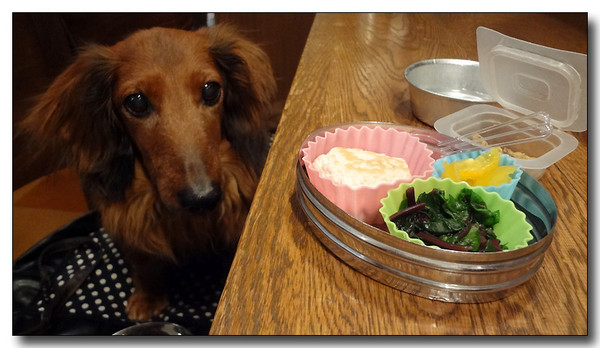 20130411201146.JPG