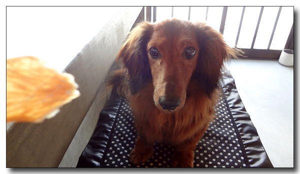 20130411203318.JPG