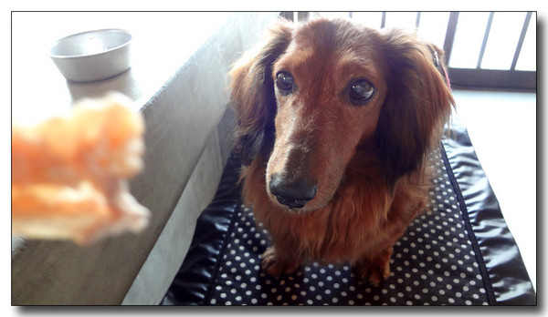 20130411203319.JPG