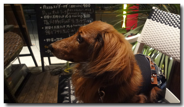 20130412100620.JPG