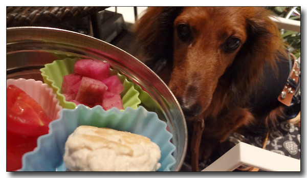 20130412100646.JPG