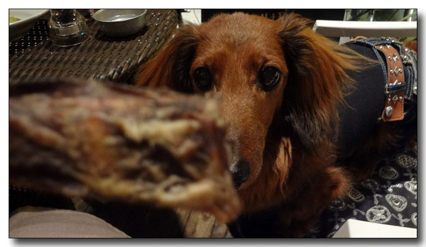 20130412100703.JPG