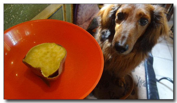 20130415081816.JPG