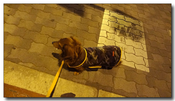 20130415215242.JPG