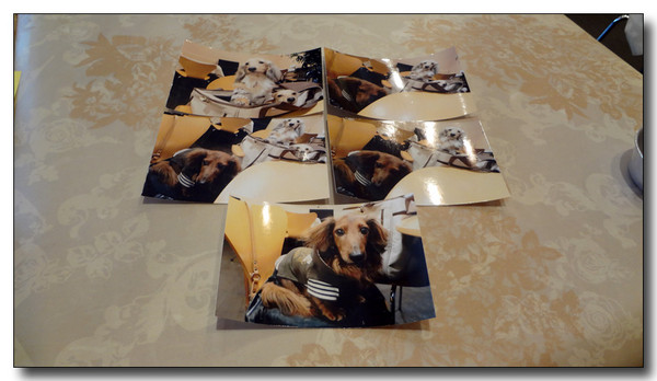20130415215323.JPG