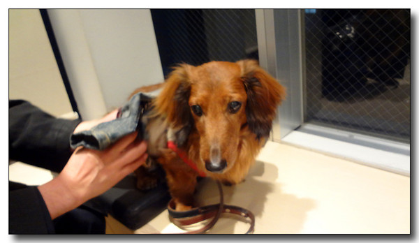 20130416070146.JPG