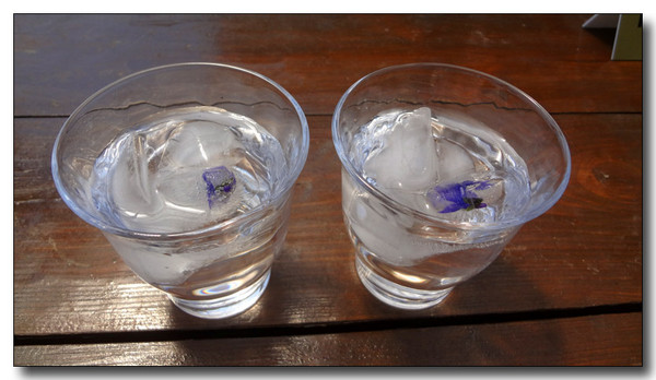 20130417042345.JPG