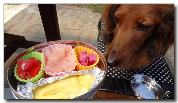20130417042433.JPG