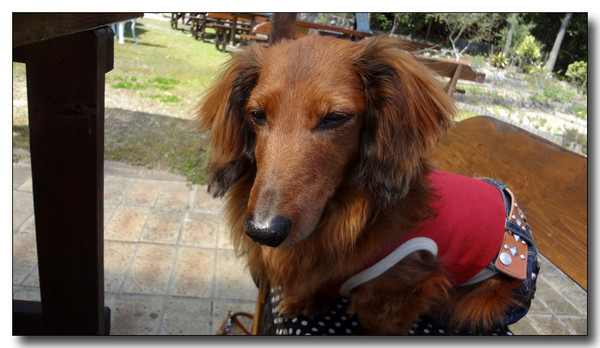 20130417042517.JPG