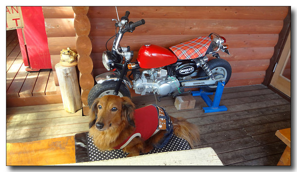20130417083627.JPG