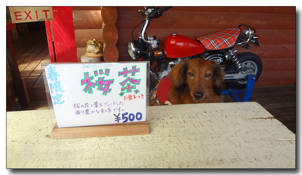 20130417083628.JPG