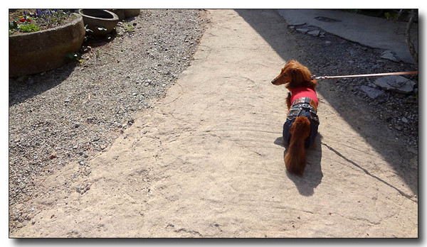 20130418082728.JPG
