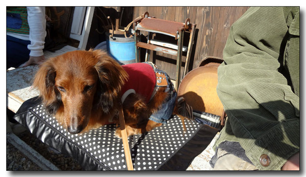 20130418133241.JPG