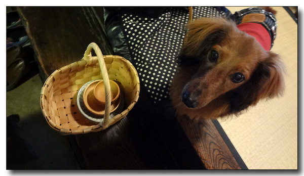 20130418133243.JPG