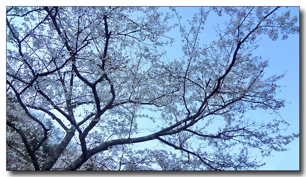 20130418183713.JPG