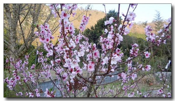 20130418183748.JPG