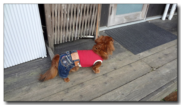 20130418183751.JPG