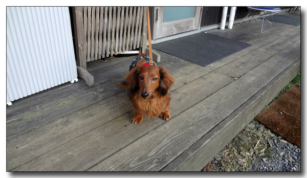 20130418183813.JPG