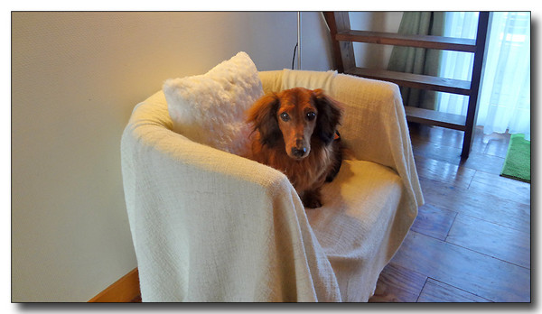 20130418184746.JPG