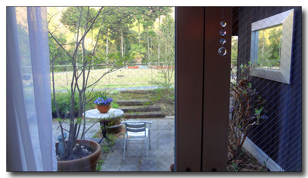 20130418184909.JPG
