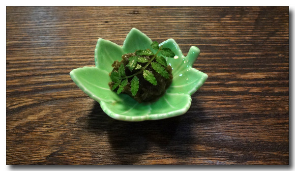 20130418185707.JPG