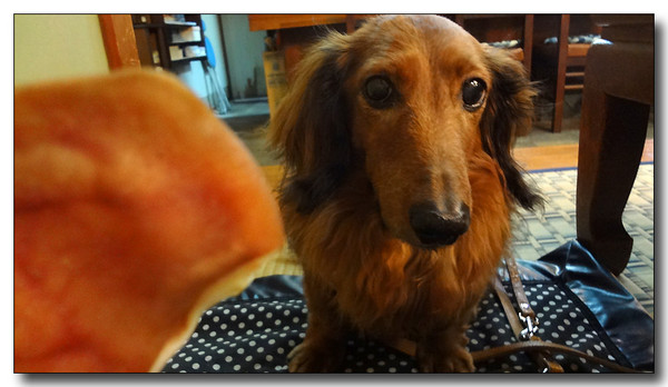 20130418185736.JPG
