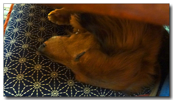 20130418185738.JPG