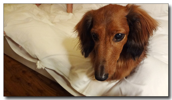20130418190409.JPG