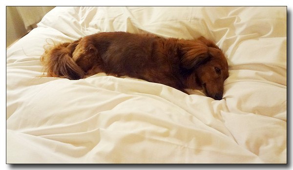 20130418190412.JPG