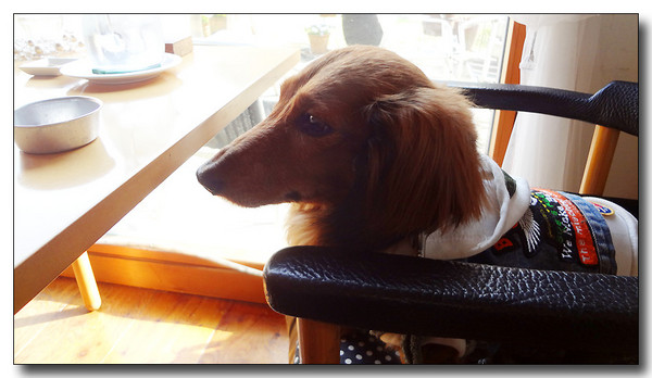 20130418192309.JPG
