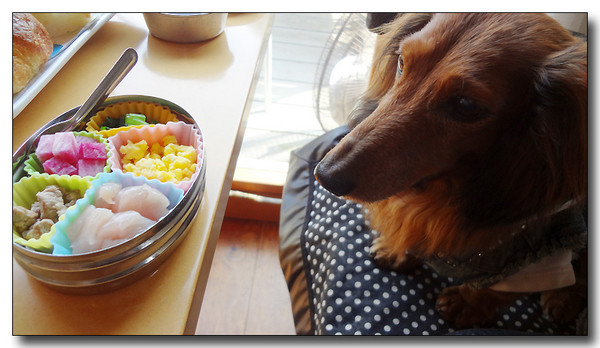 20130418192400.JPG