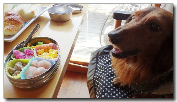 20130418192401.JPG