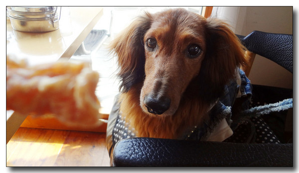 20130418192404.JPG