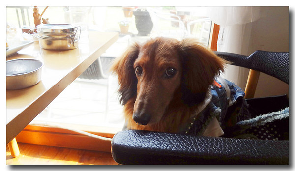 20130418192406.JPG